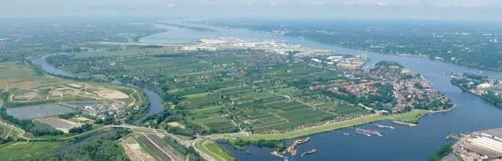 Luftbild von Finkenwerder mit Elbe und Obsthöfen