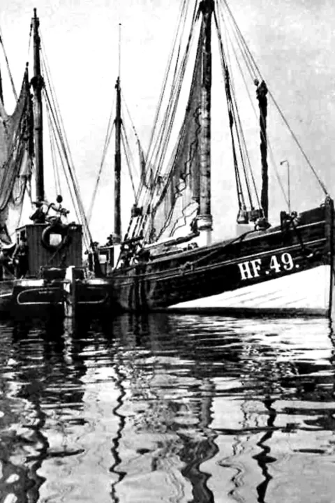 HF 49 , Ewer und Kutter am Stack
