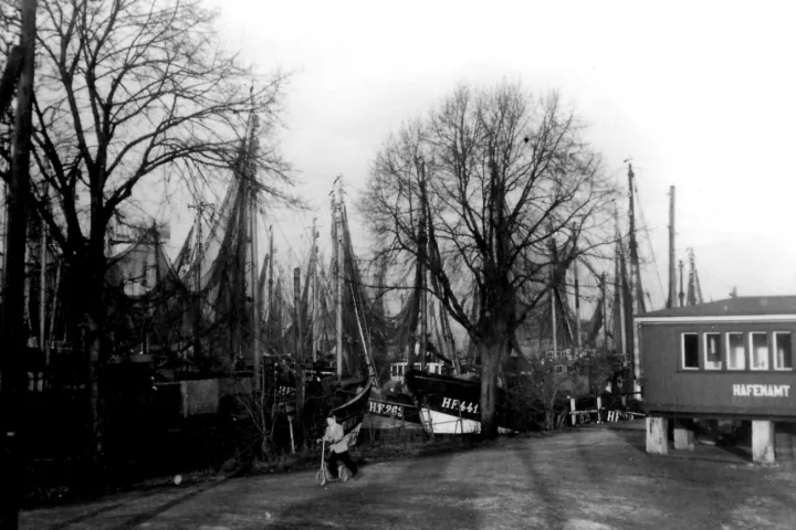 Kutterhafen am Stack 1953, HF 441, HF 263