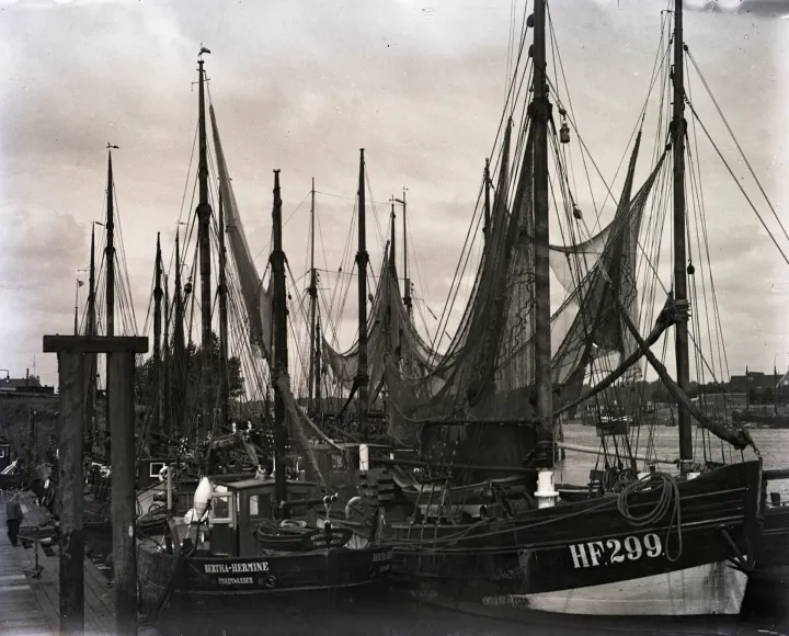 Finkenwerder Kutterhafen mit HF 299 und Bertha Hermine