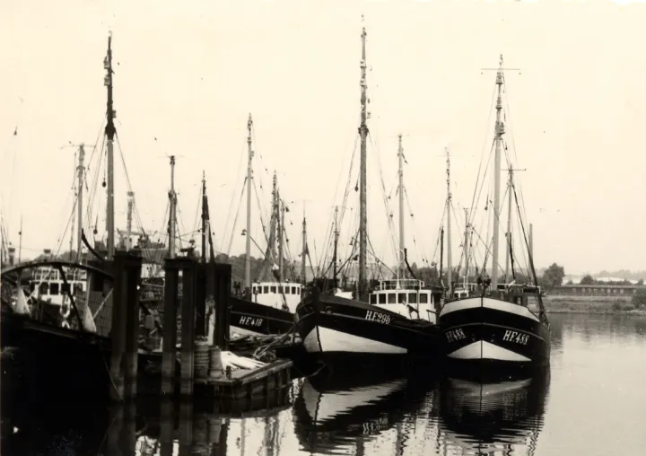 HF 418, HF 295, HF 488, Fischkutter im Fleet