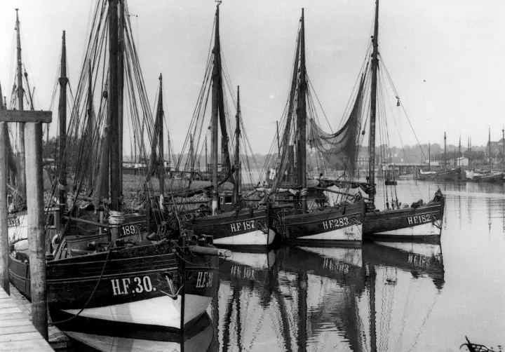 Fischkutter am Stack, HF 30, HF 189, HF 187, HF 283, HF 182