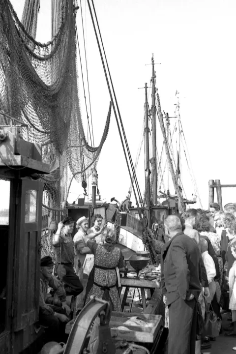 Fischverkauf vom Kutter