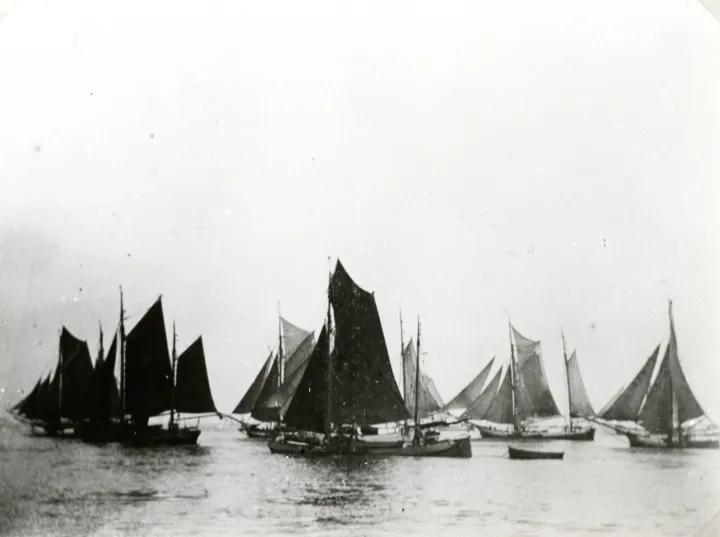HF   0  Kutter und Ewer treiben b. Flaute m.d. Ebbe Elbabwärts,  um 1900